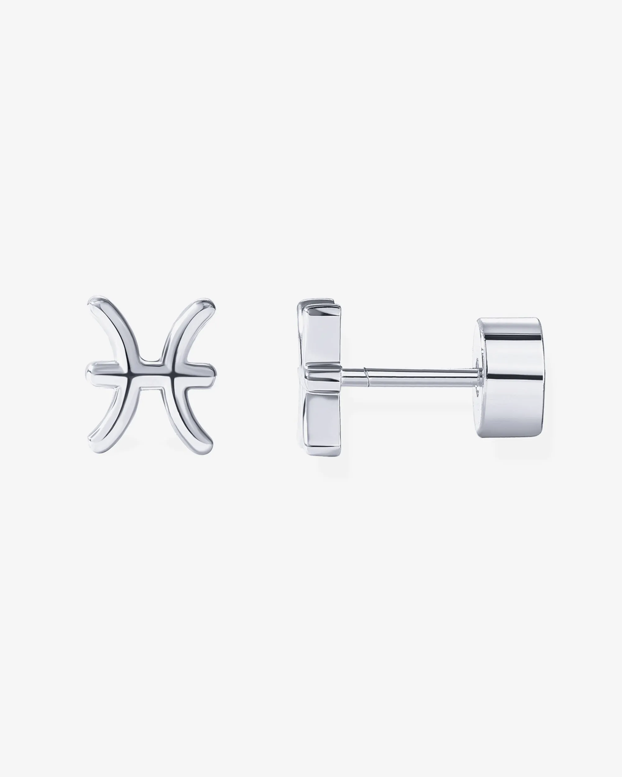 What's Your Sign Horoscope Earrings