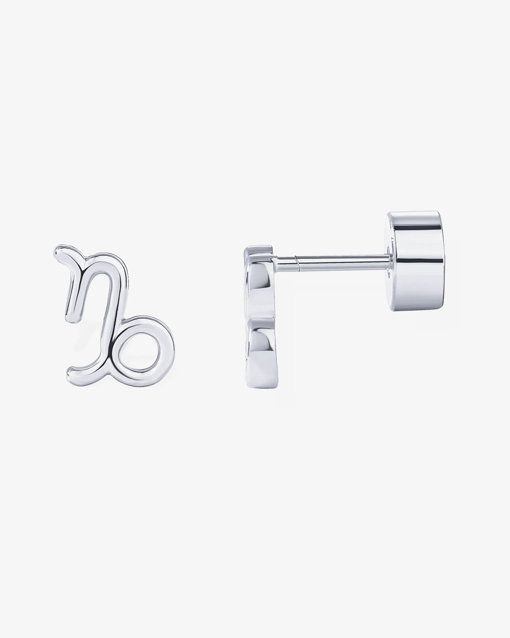 What's Your Sign Horoscope Earrings
