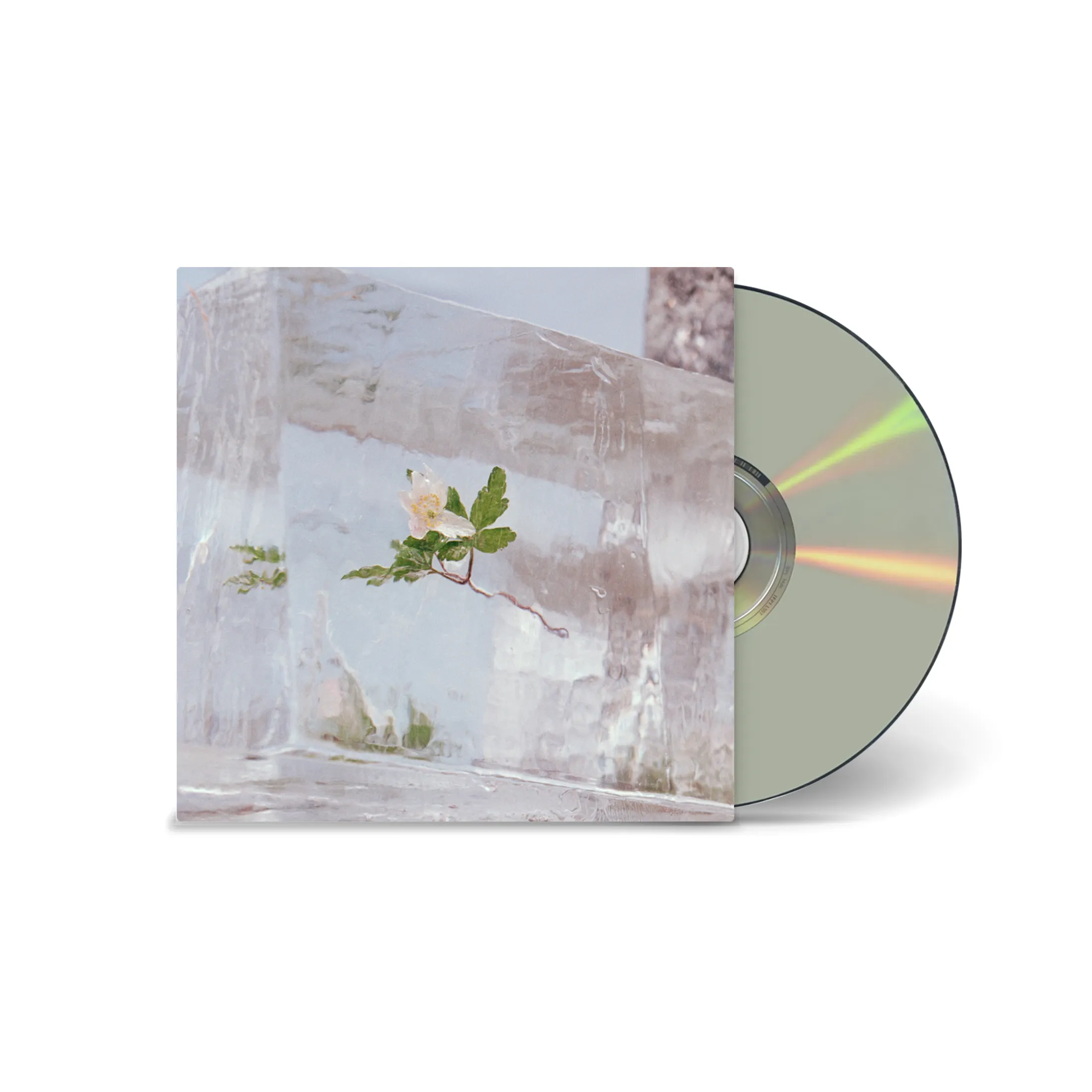 Windflowers [CD]