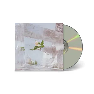 Windflowers [CD]