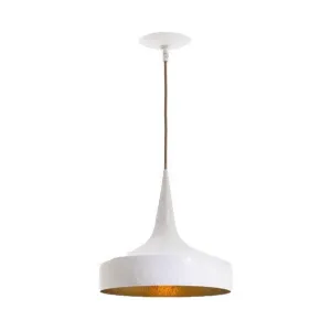 Ziggy Hammered Iron Pendant Light
